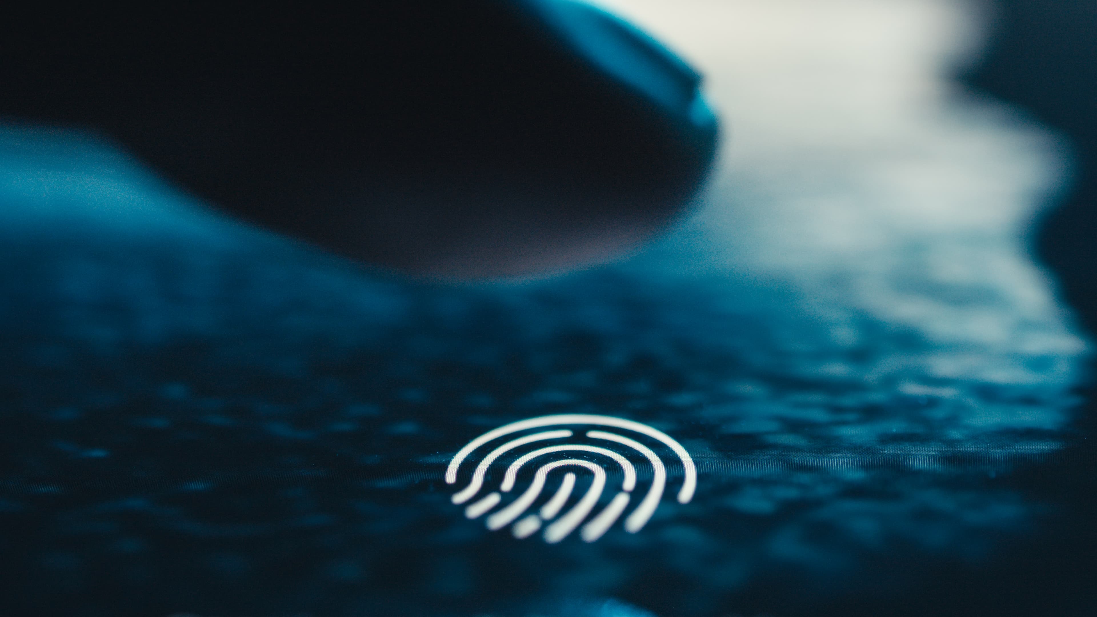 A close-up of a fingertip on a fingerprint reader, lit by soft daylight.